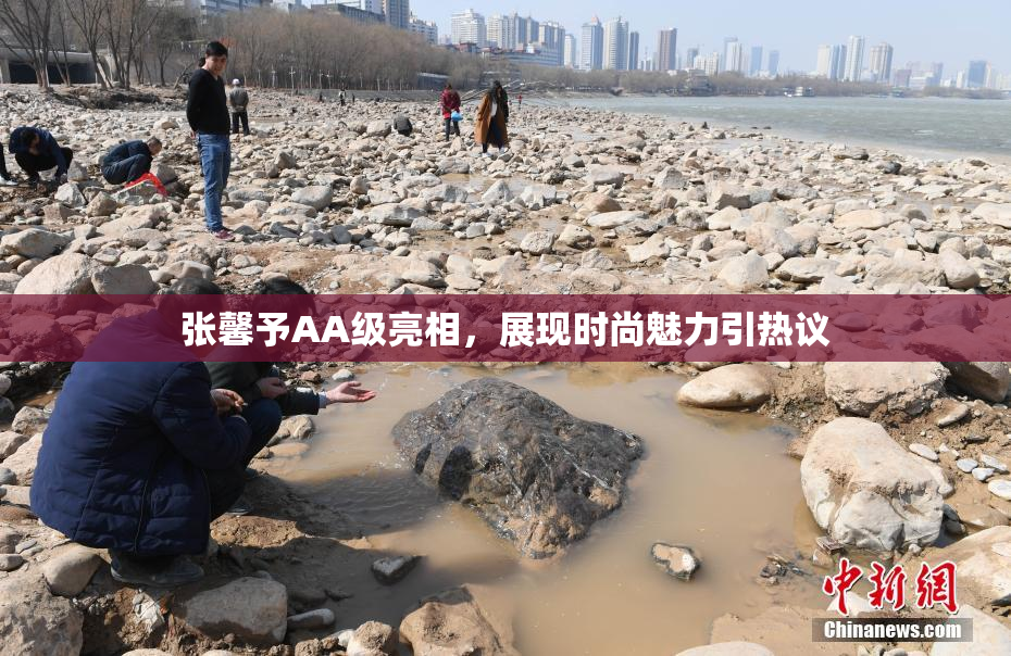张馨予AA级亮相，展现时尚魅力引热议