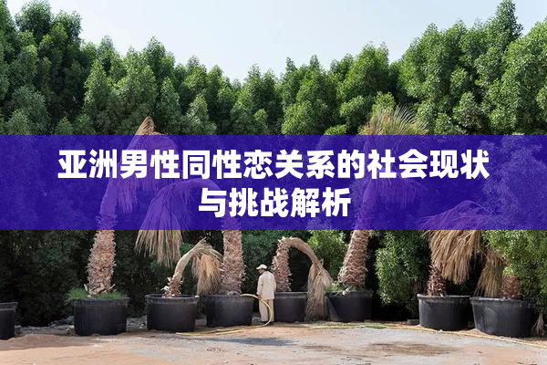 亚洲男性同性恋关系的社会现状与挑战解析