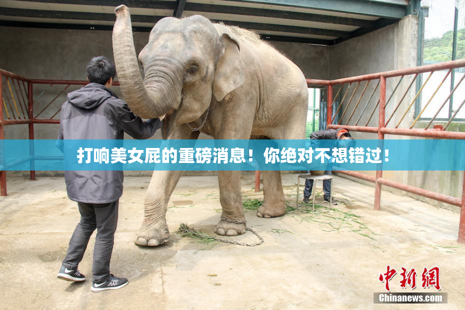 打响美女屁的重磅消息！你绝对不想错过！