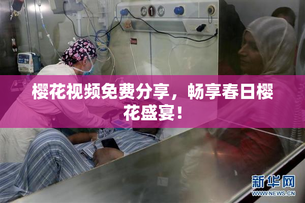 樱花视频免费分享，畅享春日樱花盛宴！