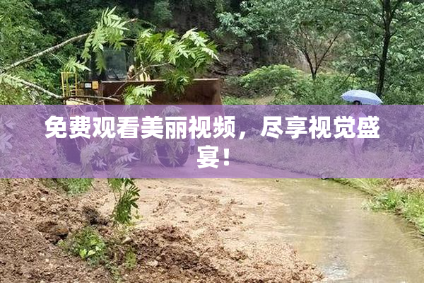 免费观看美丽视频，尽享视觉盛宴！