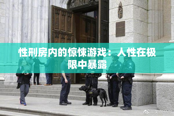 性刑房内的惊悚游戏：人性在极限中暴露