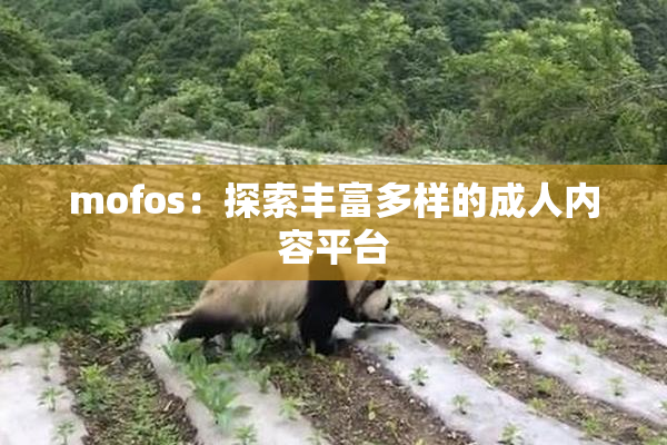 mofos：探索丰富多样的成人内容平台