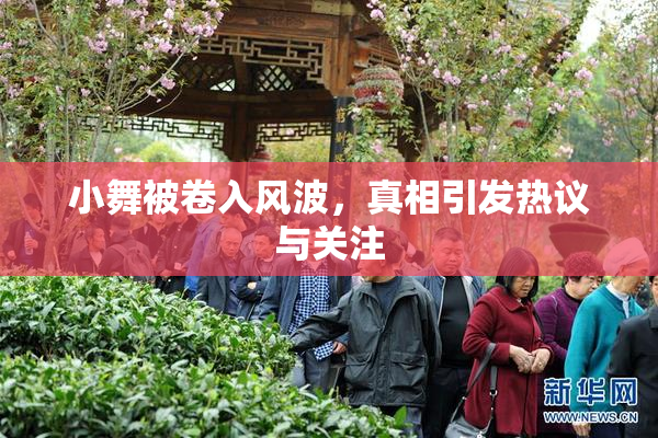 小舞被卷入风波，真相引发热议与关注