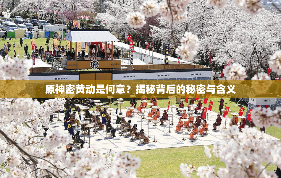 原神密黄动是何意？揭秘背后的秘密与含义
