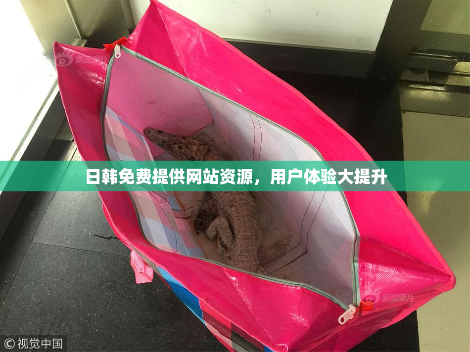 日韩免费提供网站资源，用户体验大提升