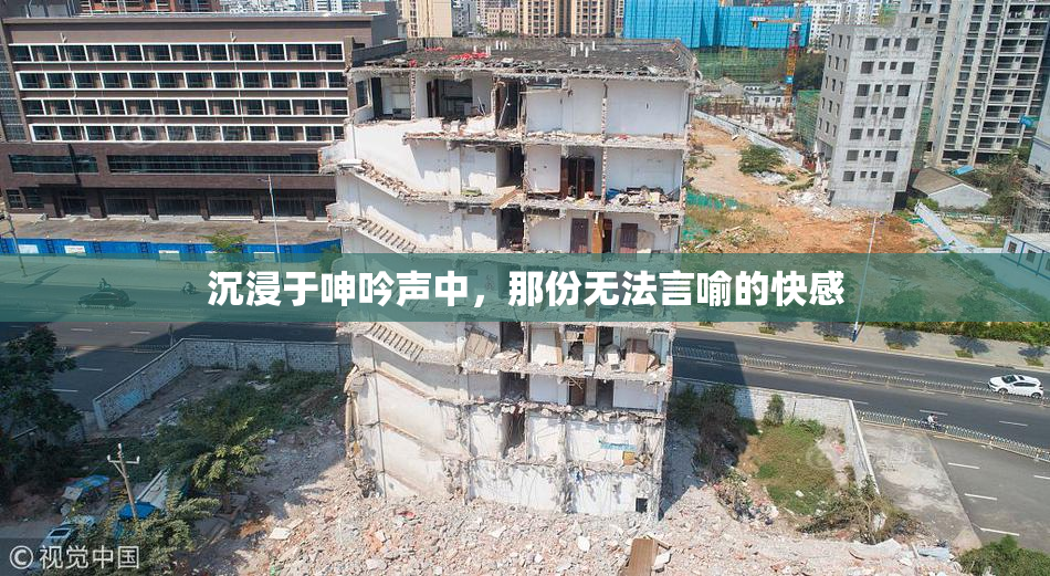 沉浸于呻吟声中，那份无法言喻的快感
