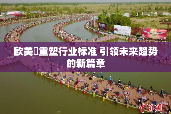 欧美巜重塑行业标准 引领未来趋势的新篇章