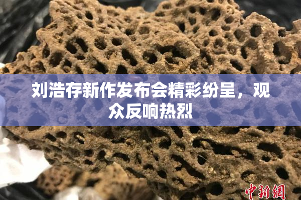 刘浩存新作发布会精彩纷呈，观众反响热烈