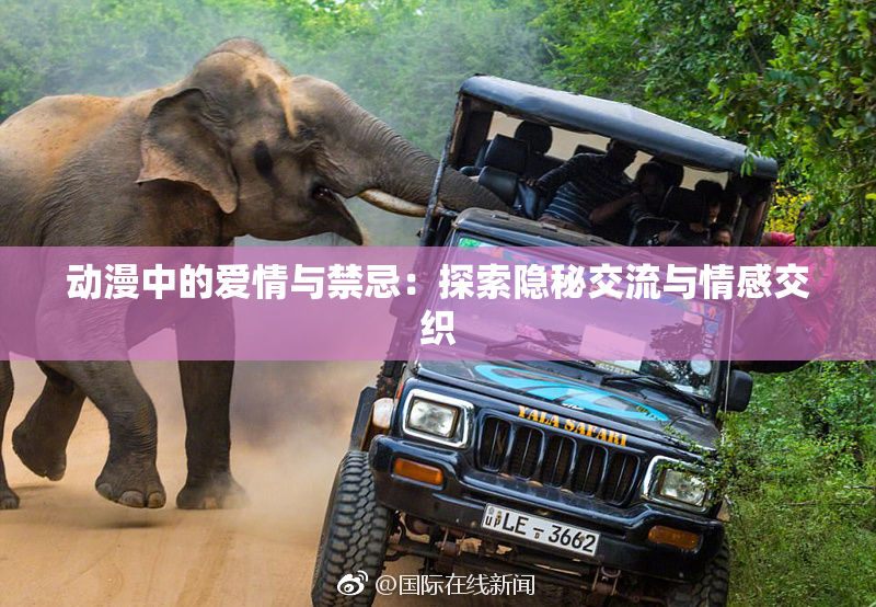 动漫中的爱情与禁忌：探索隐秘交流与情感交织