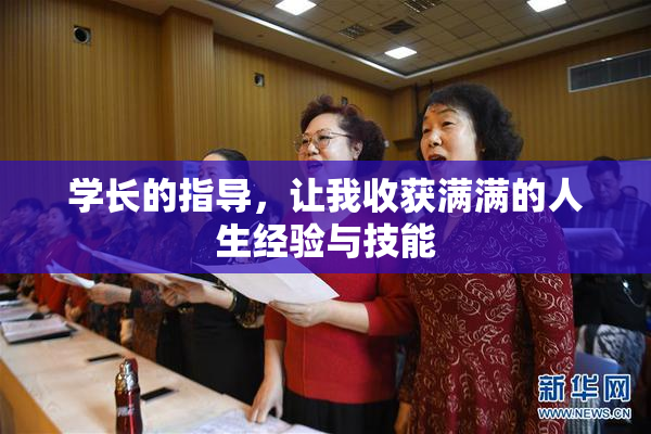 学长的指导，让我收获满满的人生经验与技能
