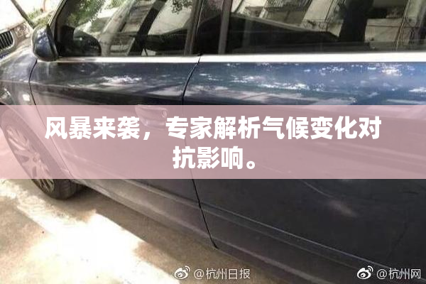 风暴来袭，专家解析气候变化对抗影响。