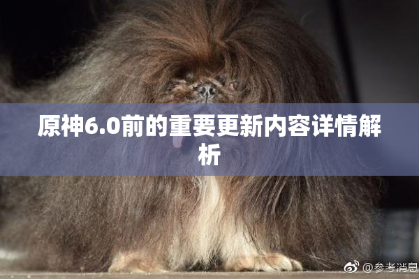 原神6.0前的重要更新内容详情解析