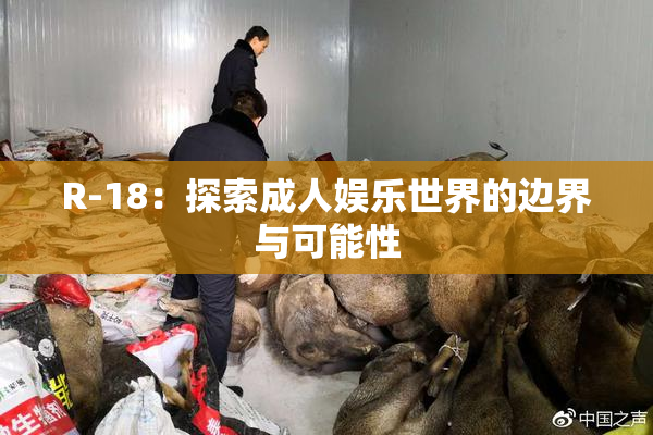 R-18：探索成人娱乐世界的边界与可能性