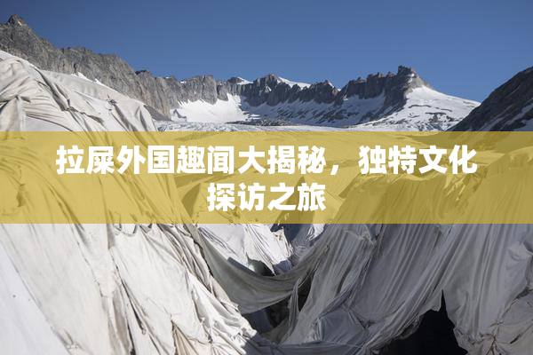 拉屎外国趣闻大揭秘，独特文化探访之旅