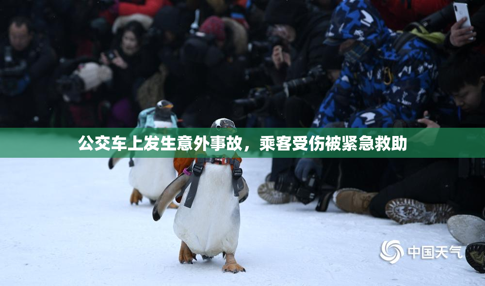 公交车上发生意外事故，乘客受伤被紧急救助