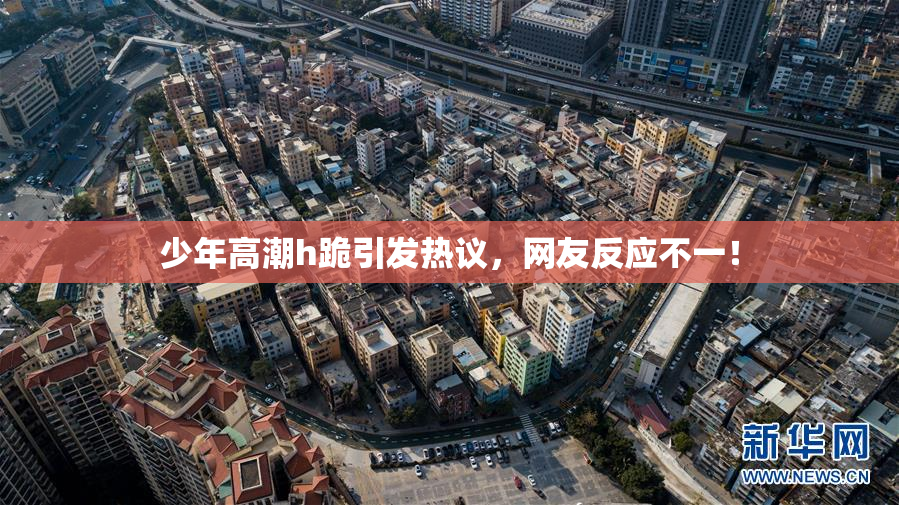 少年高潮h跪引发热议，网友反应不一！