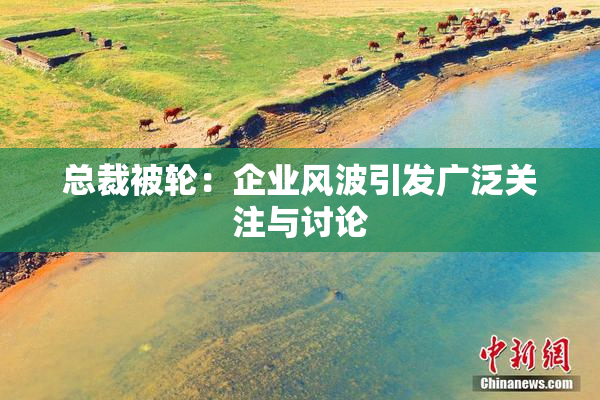 总裁被轮：企业风波引发广泛关注与讨论