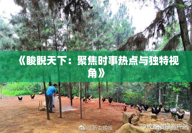 《睃睨天下：聚焦时事热点与独特视角》