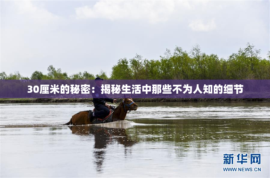 30厘米的秘密：揭秘生活中那些不为人知的细节