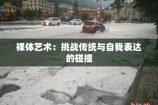 裸体艺术：挑战传统与自我表达的碰撞