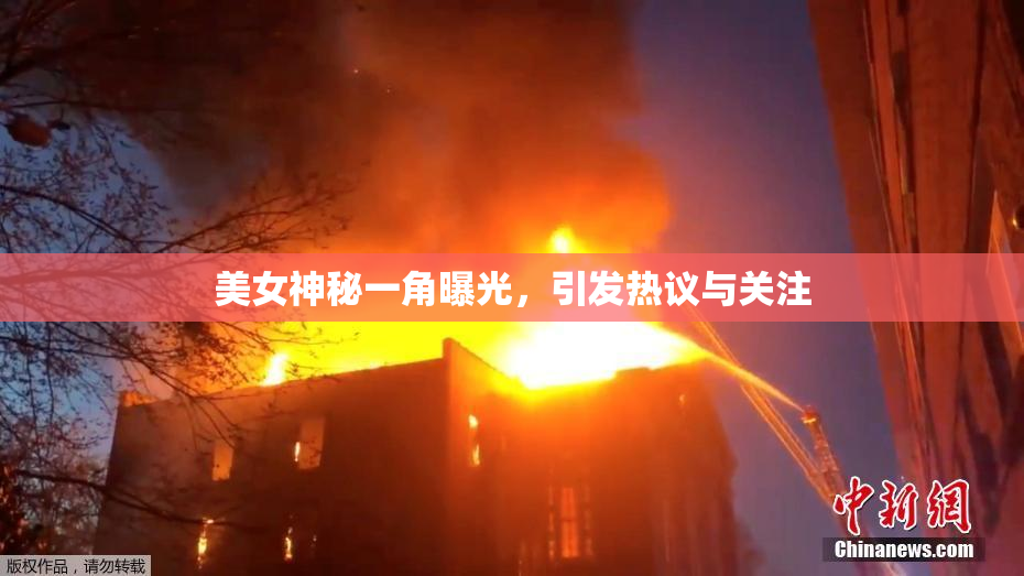 美女神秘一角曝光，引发热议与关注