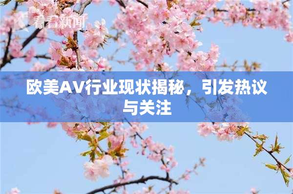 欧美AV行业现状揭秘，引发热议与关注