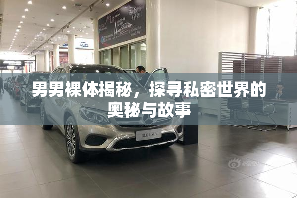 男男裸体揭秘，探寻私密世界的奥秘与故事
