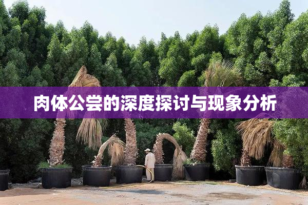 肉体公尝的深度探讨与现象分析