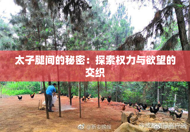 太子腿间的秘密：探索权力与欲望的交织
