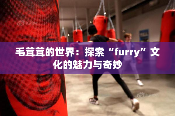 毛茸茸的世界：探索“furry”文化的魅力与奇妙