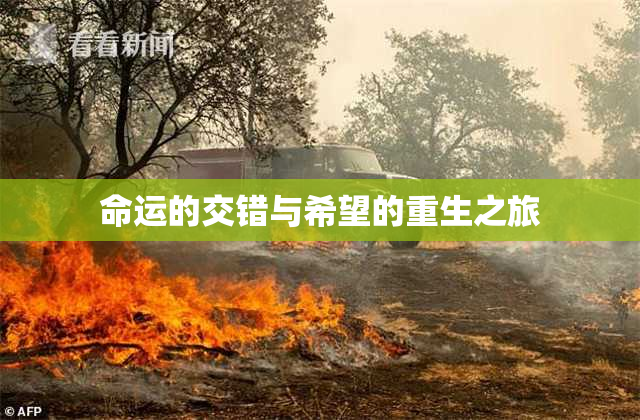 命运的交错与希望的重生之旅