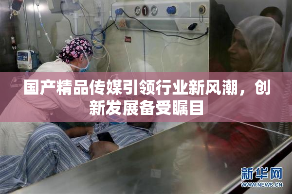 国产精品传媒引领行业新风潮，创新发展备受瞩目