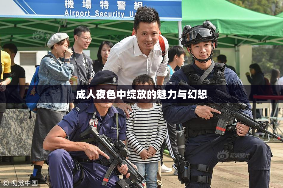 成人夜色中绽放的魅力与幻想