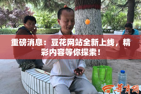 重磅消息：豆花网站全新上线，精彩内容等你探索！