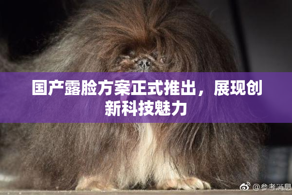 国产露脸方案正式推出，展现创新科技魅力