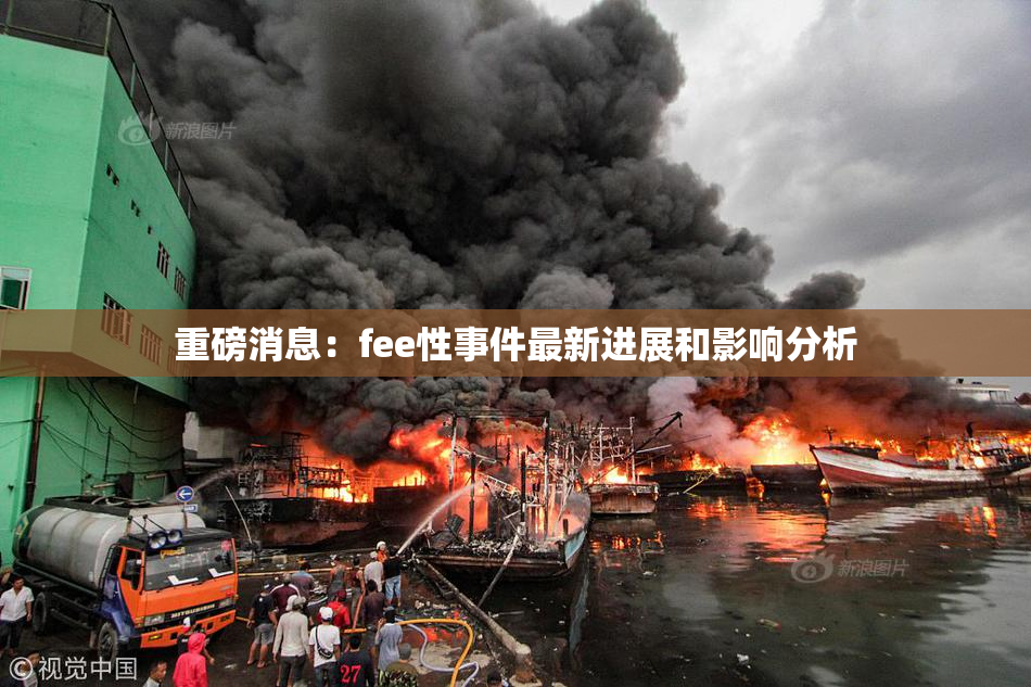 重磅消息：fee性事件最新进展和影响分析