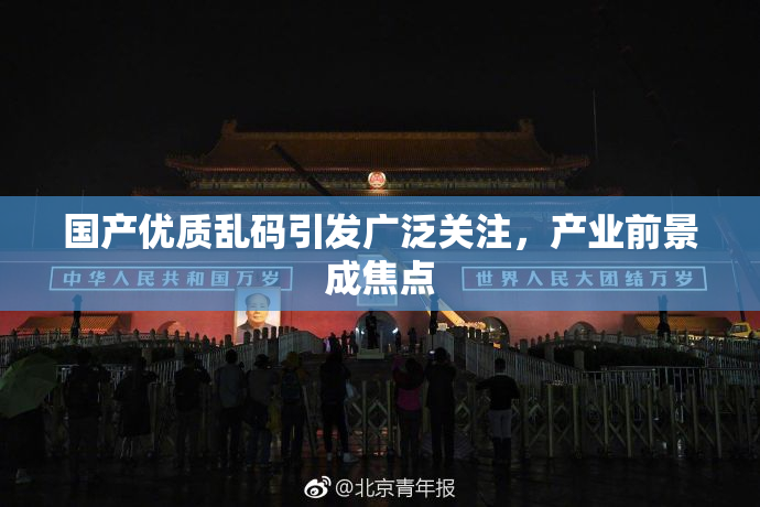 国产优质乱码引发广泛关注，产业前景成焦点