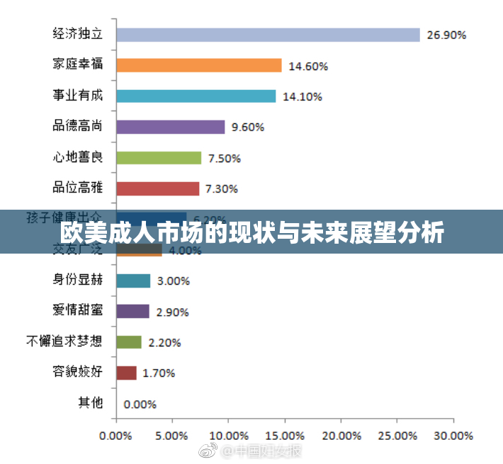 欧美成人市场的现状与未来展望分析