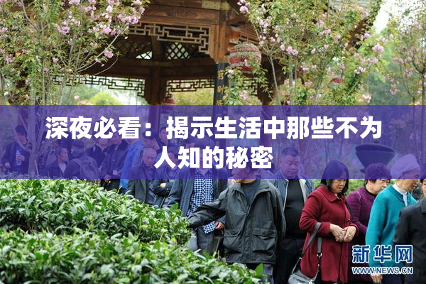 深夜必看：揭示生活中那些不为人知的秘密