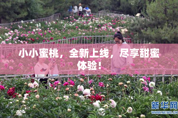 小小蜜桃，全新上线，尽享甜蜜体验！