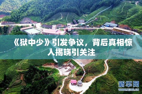 《狱中少》引发争议，背后真相惊人揭晓引关注