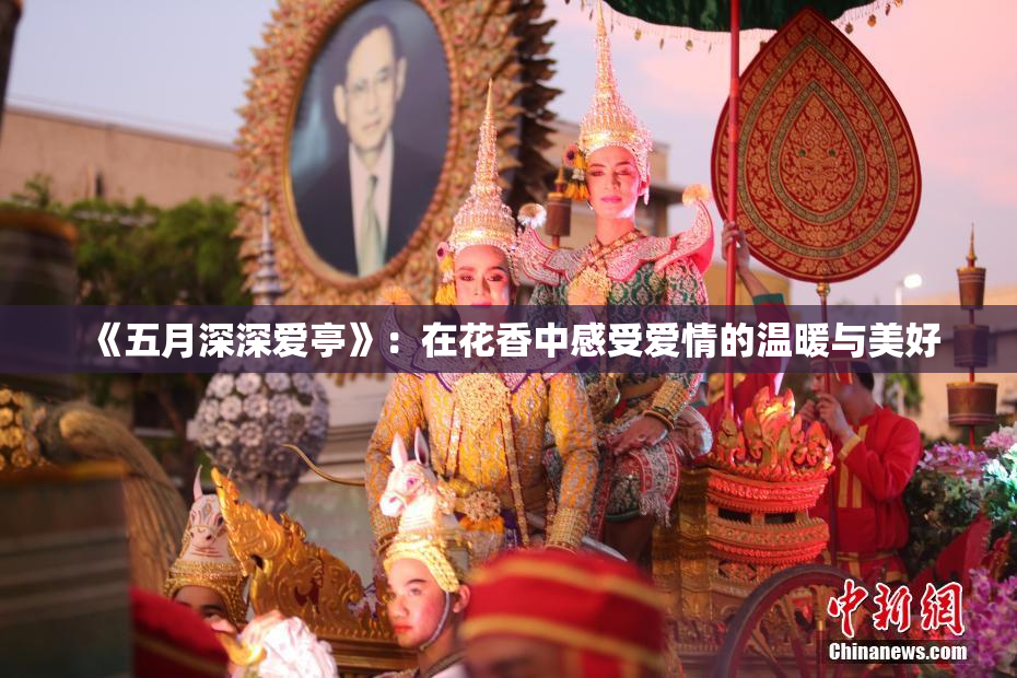 《五月深深爱亭》：在花香中感受爱情的温暖与美好