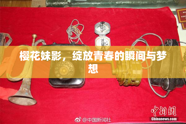 樱花妹影，绽放青春的瞬间与梦想
