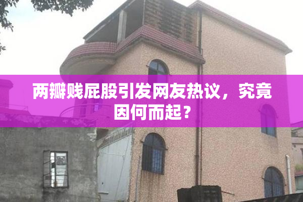 两瓣贱屁股引发网友热议，究竟因何而起？
