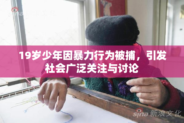 19岁少年因暴力行为被捕，引发社会广泛关注与讨论