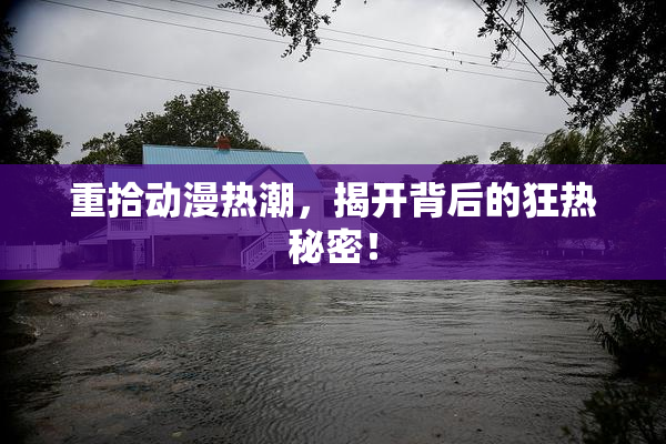 重拾动漫热潮，揭开背后的狂热秘密！