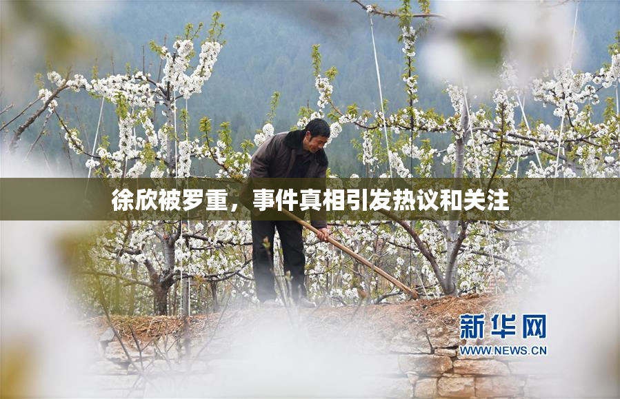 徐欣被罗重，事件真相引发热议和关注