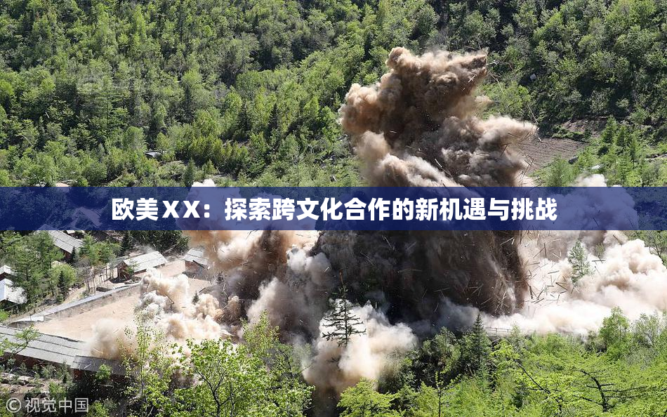 欧美ⅩX：探索跨文化合作的新机遇与挑战