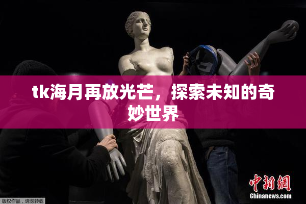 tk海月再放光芒，探索未知的奇妙世界